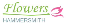 Hammersmith Flowers | The Most Preferred Online Flower Shop