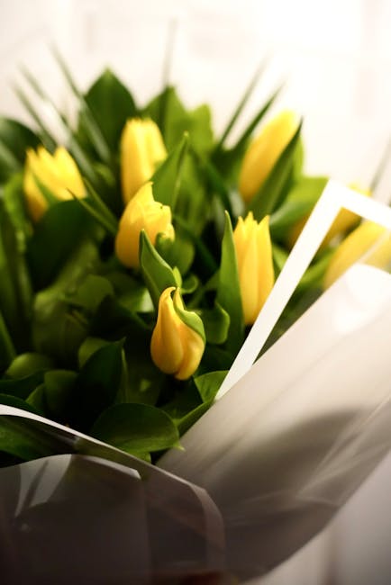 A bouquet of fresh yellow tulips with closed petals, surrounded by lush green leaves, arranged in a delicate manner. The flowers are wrapped in clear and white floral paper, with some parts of the wra