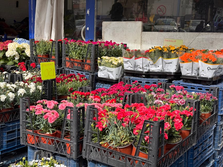 A display of various potted flowers arranged in black plastic crates outside a flower shop, featuring vibrant pink, red, white, yellow, and orange blooms. The flowers, including carnations and chrysan