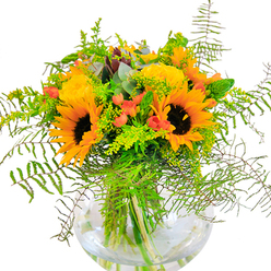 There's a sense of sunlit jubilation in this bowl-shaped glass vase brimming with seasonal blooms, inspired by the vibrant streets and gardens of Hammersmith. Bold sunflowers command the arrangement, each with a dusky brown heart ringed by vivid yellow-orange petals-a nod to the lively flower beds of Ravenscourt Park in full bloom. Interspersed are sumptuous yellow garden roses, their tightly coiled petals unfolding with classic grace, adding a refined softness to the design. Dazzling clusters of red Hypericum berries gleam amidst the greenery, their colour popping against the dominant yellows and suggesting the festive mood of local markets. Wispy fern fronds and fine, bright green fillers-possibly goldenrod-trail lightly outward, echoing the natural wildness of riverside greenery. Blue-green eucalyptus sprigs peek from between the blooms, cooling the overall palette while subtly perfuming the air. The clear glass vase, shaped like a polished sphere, reveals the vibrant web of stems beneath, submerged and radiant in clear water. This arrangement is an ideal gesture to mark birthdays, anniversaries, or moments to be cherished, bringing the light and artistry of Hammersmith Flowers into homes throughout West London.